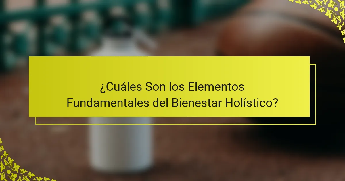¿Cuáles Son los Elementos Fundamentales del Bienestar Holístico?