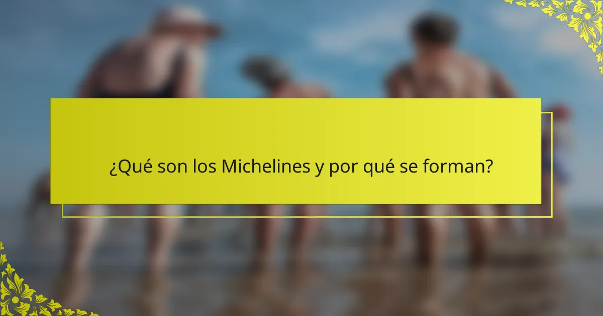 ¿Qué son los Michelines y por qué se forman?